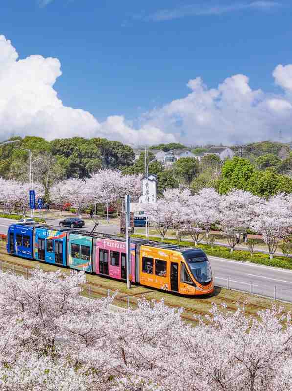 别让赏樱变成"赏人"：苏州本地人带路，解锁真正的小众秘境 文化旅游