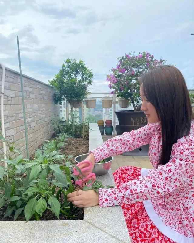  洗尽铅华后的54岁：她选择把日子过成自己想要的样子 情感心理