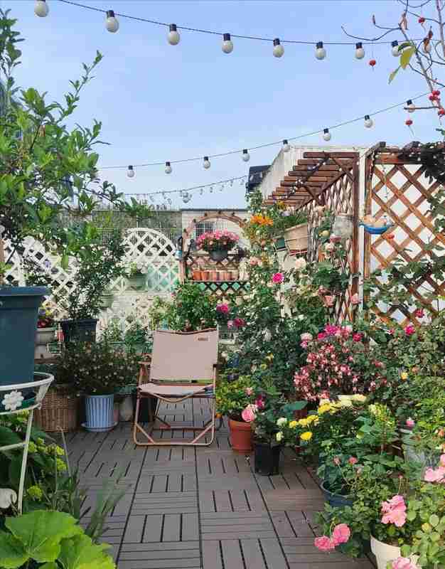  洗尽铅华后的54岁：她选择把日子过成自己想要的样子 情感心理