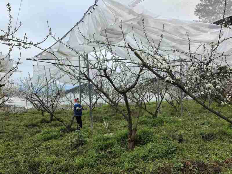  【深度解码】系统思维如何驱动基层治理升级：开阳县「学查改」一体化实践方法论 新闻