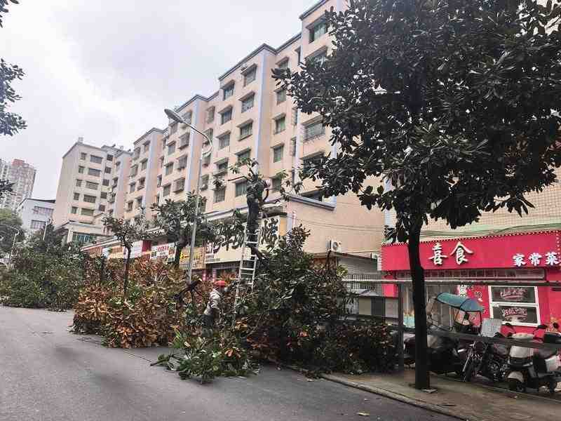  【深度解码】系统思维如何驱动基层治理升级：开阳县「学查改」一体化实践方法论 新闻