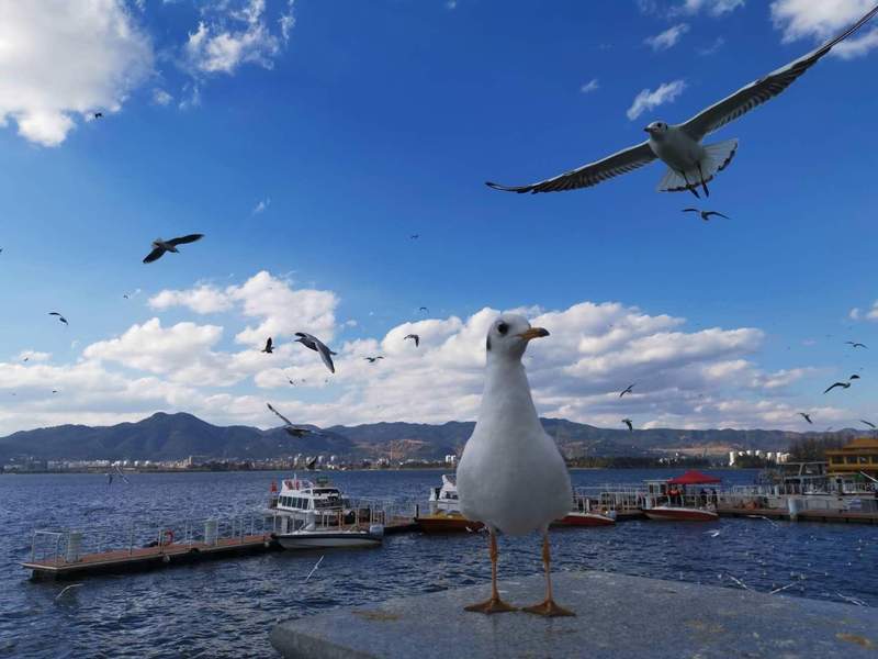  强基计划六年蜕变：从基础学科到前沿交叉的深层转向 教育招生