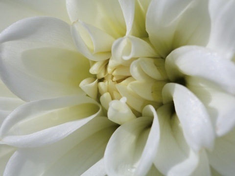  深度拆解：三大生肖的吃苦哲学与财富积累的内在逻辑 情感心理