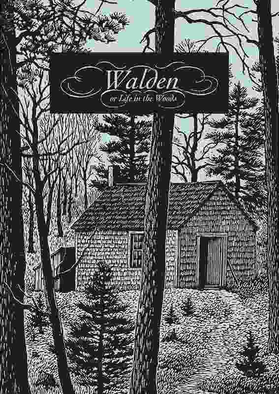  在效率至上的时代，我们需要一次心灵的远行 情感心理