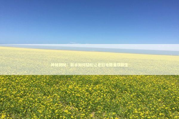 神秘揭秘：新手如何轻松让老旧电脑重获新生