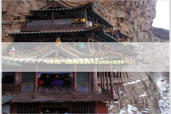 神秘揭露：隐藏限量通道带你走进精英兴趣世界 新闻