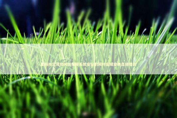 某科技公司如何在保障系统安全的同时实现业务高速增长 IT技术