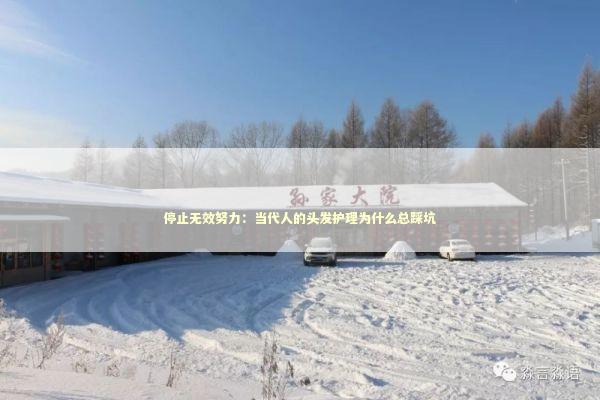 停止无效努力：当代人的头发护理为什么总踩坑 时尚用品