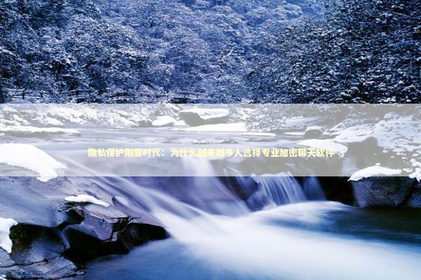 隐私保护刚需时代：为什么越来越多人选择专业加密聊天软件 IT技术